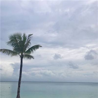 宫廷q传手游百度版下载